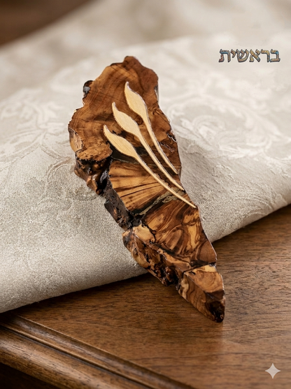 בית מזוזה A-16 — תמונת נושא